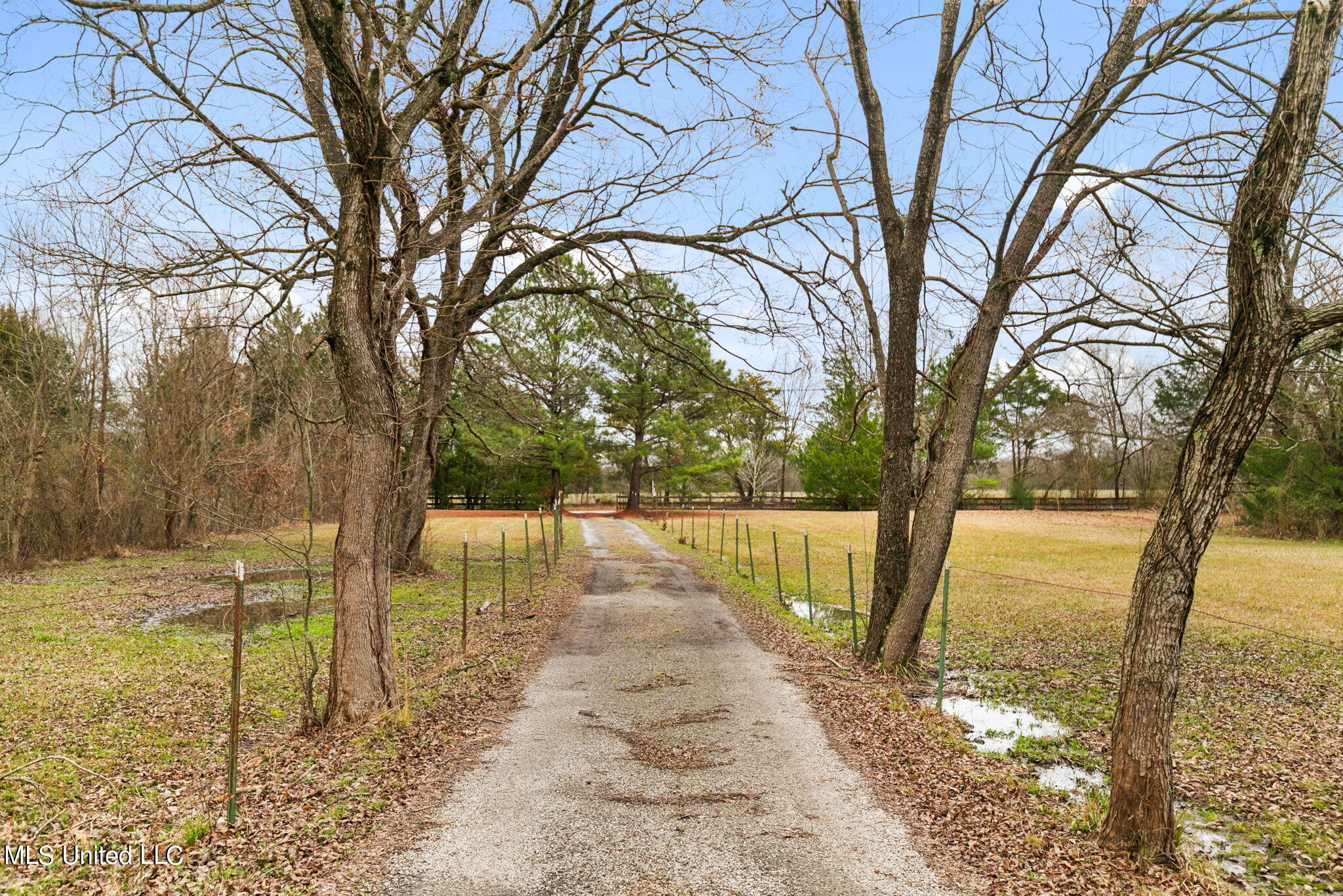 235 Clarkdell Road Canton, MS 39046 - Photo 37 of 50 47-web-or-mls-235 Clarkdell Rd-47