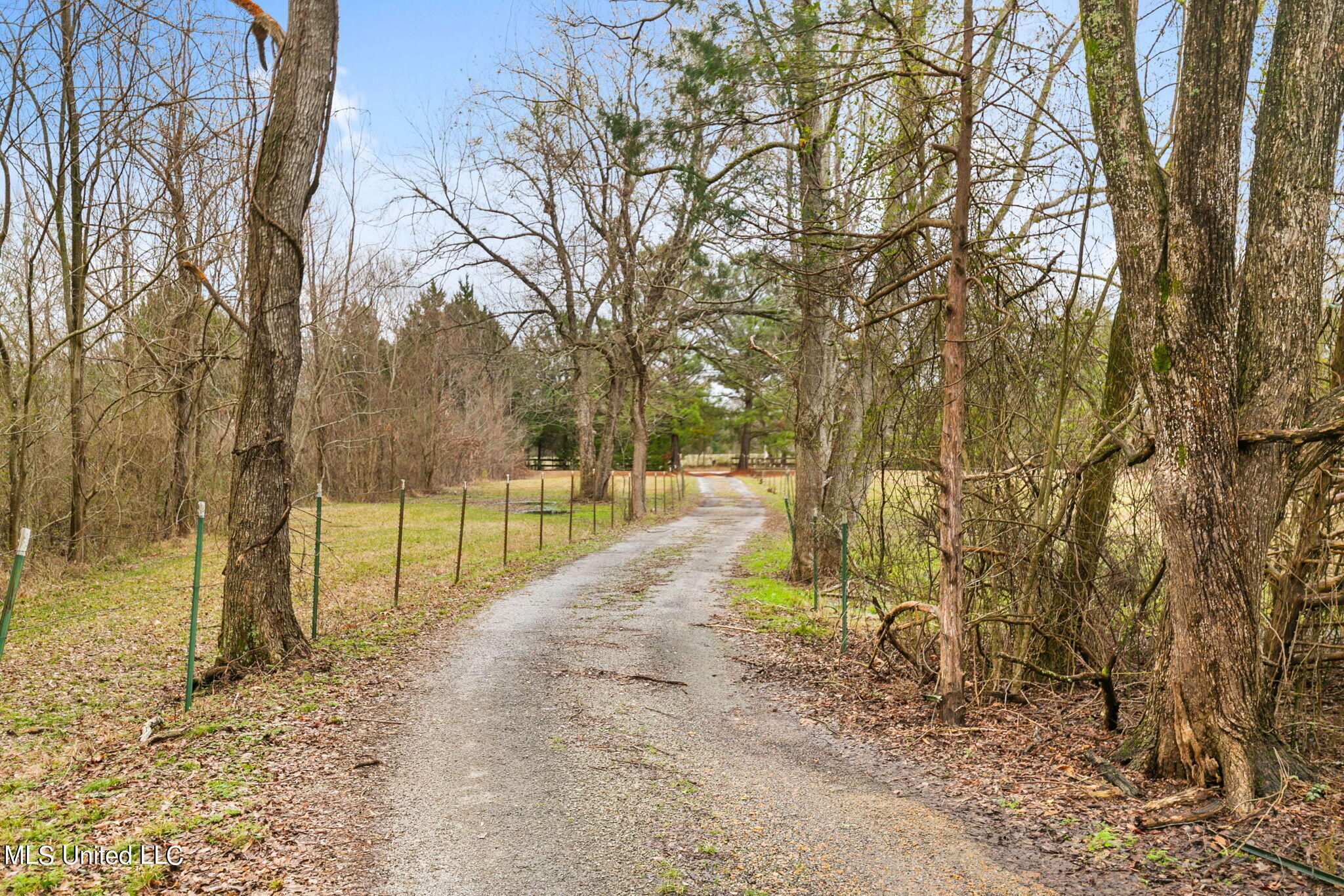 235 Clarkdell Road Canton, MS 39046 - Photo 38 of 50 46-web-or-mls-235 Clarkdell Rd-46