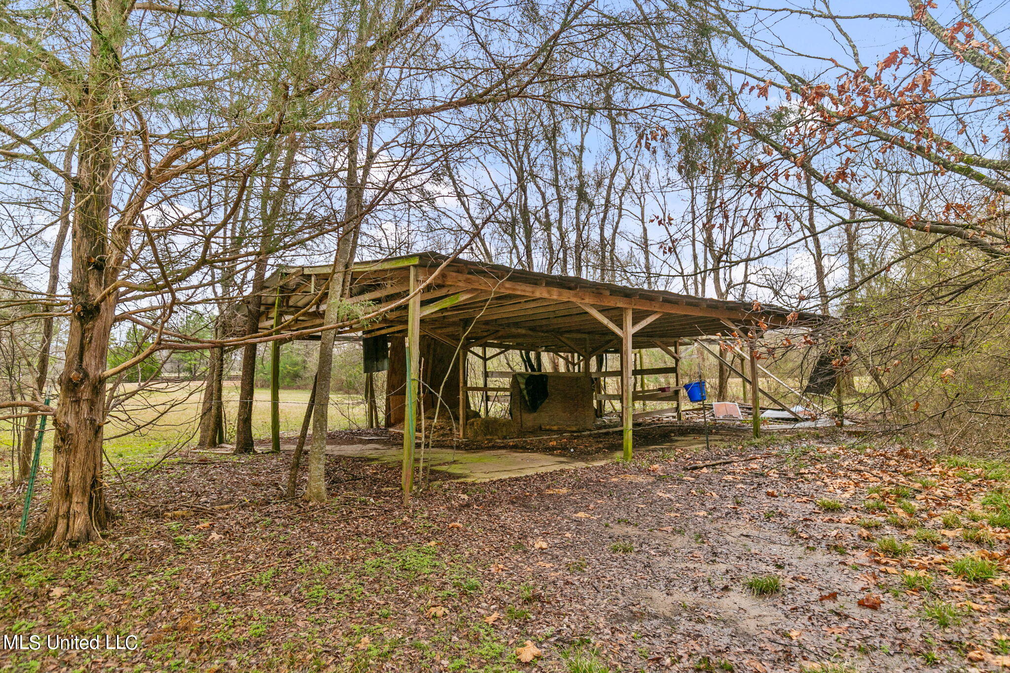 235 Clarkdell Road Canton, MS 39046 - Photo 39 of 50 45-web-or-mls-235 Clarkdell Rd-45