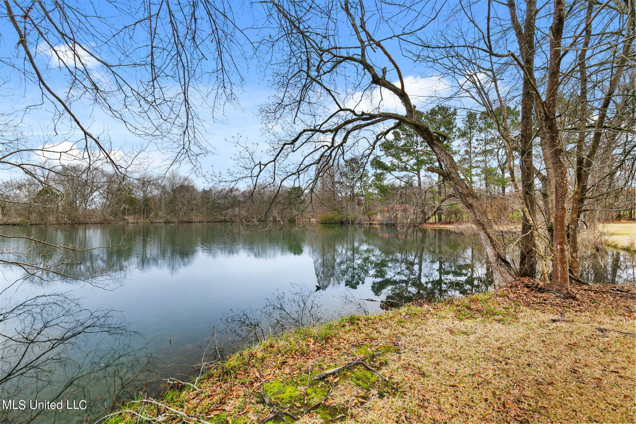 235 Clarkdell Road Canton, MS 39046 - Photo 42 of 50 44-web-or-mls-235 Clarkdell Rd-44