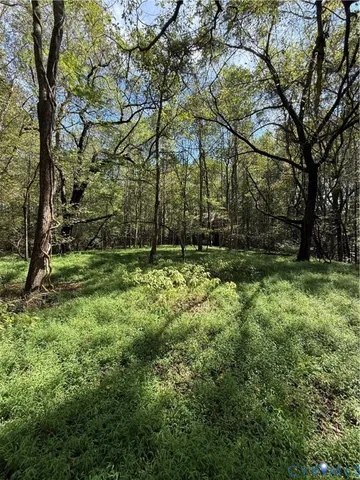 a view of outdoor space with trees all around