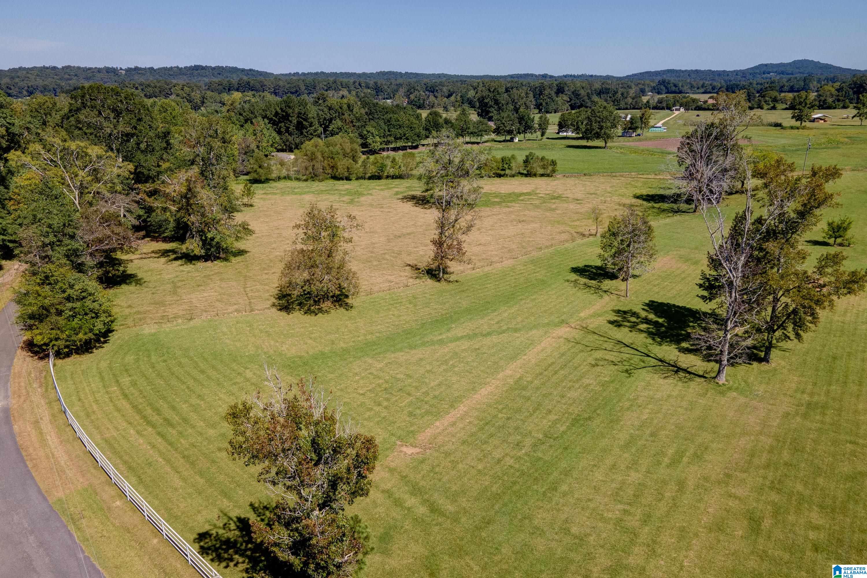 595 Browning Road Odenville, AL 35120 - Photo 48 of 50