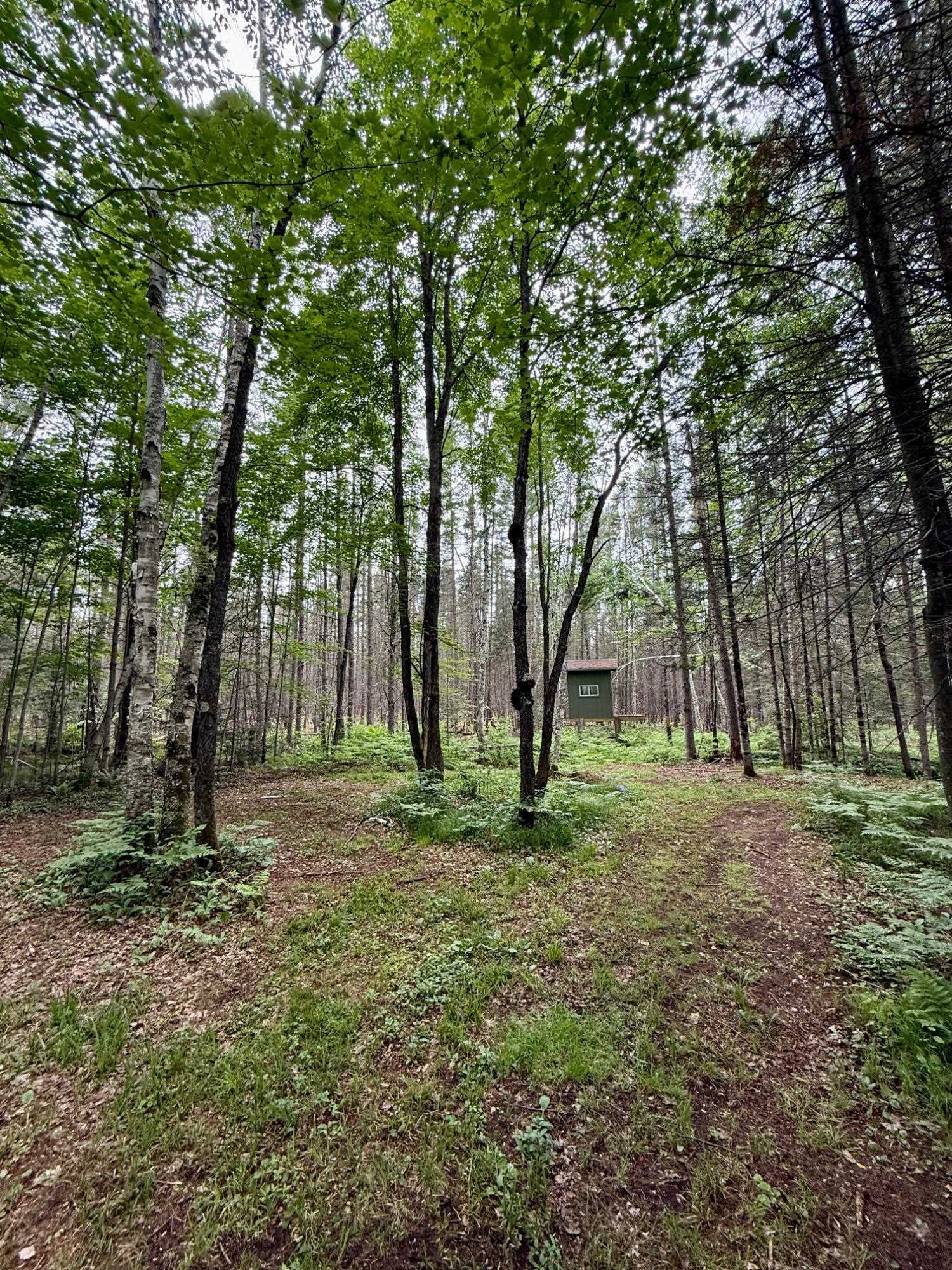 10543 Pat Phalen Road Crandon, WI 54520 - Photo 56 of 60