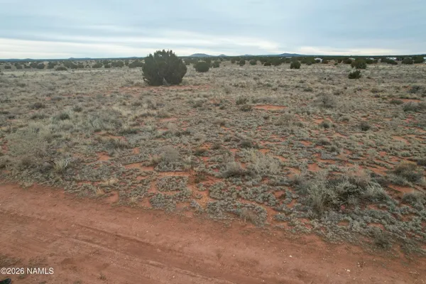 a view of a dry yard with wooden floor