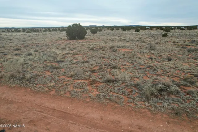 a view of a dry yard with wooden floor
