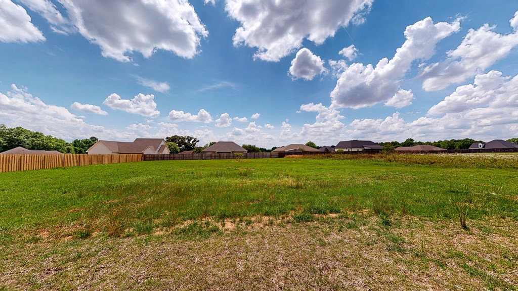 4860 Henry County Road Headland, AL 36345 - Photo 23 of 61