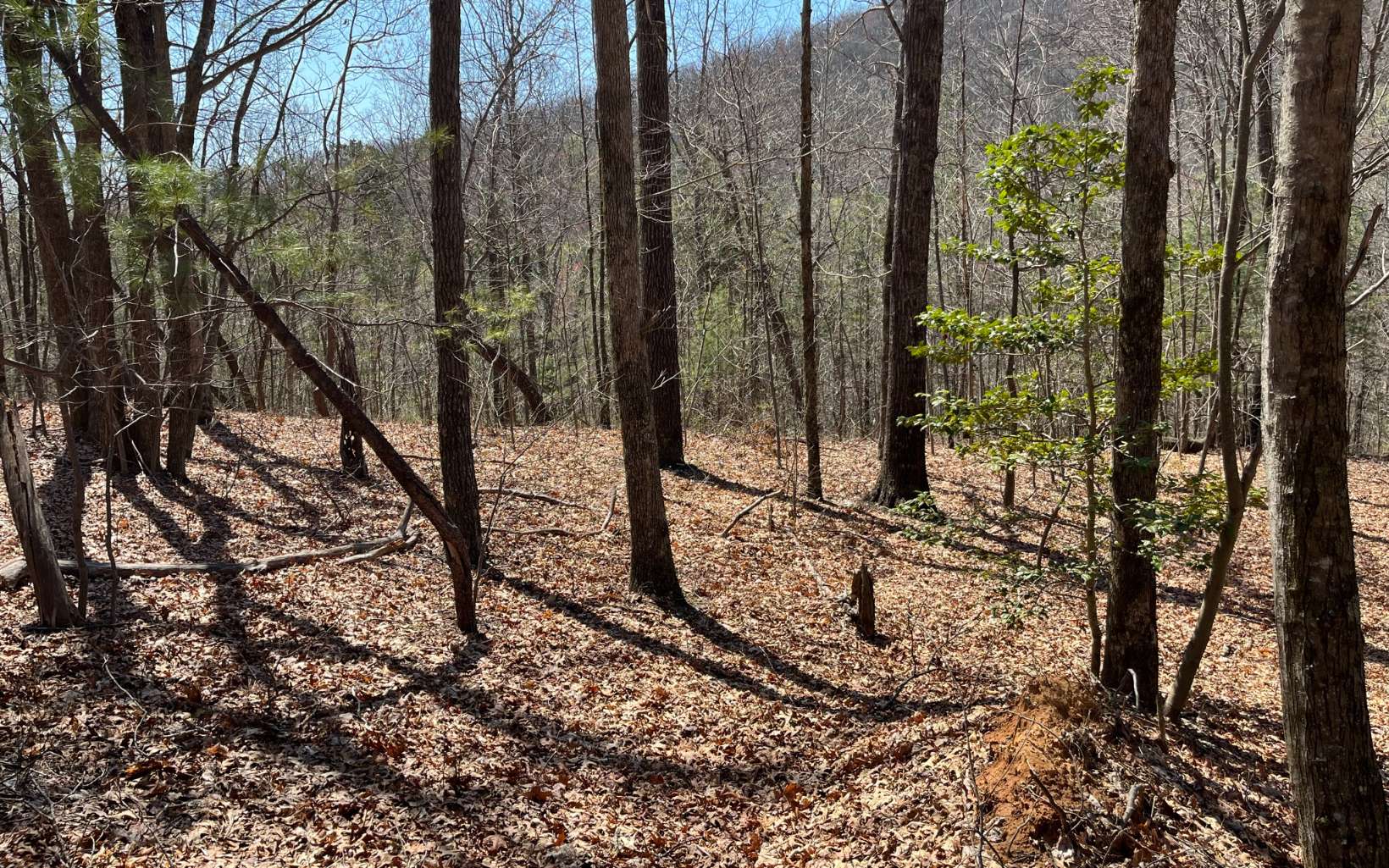 Cove Road Jasper, GA 30143 - Photo 16 of 20 Additional View