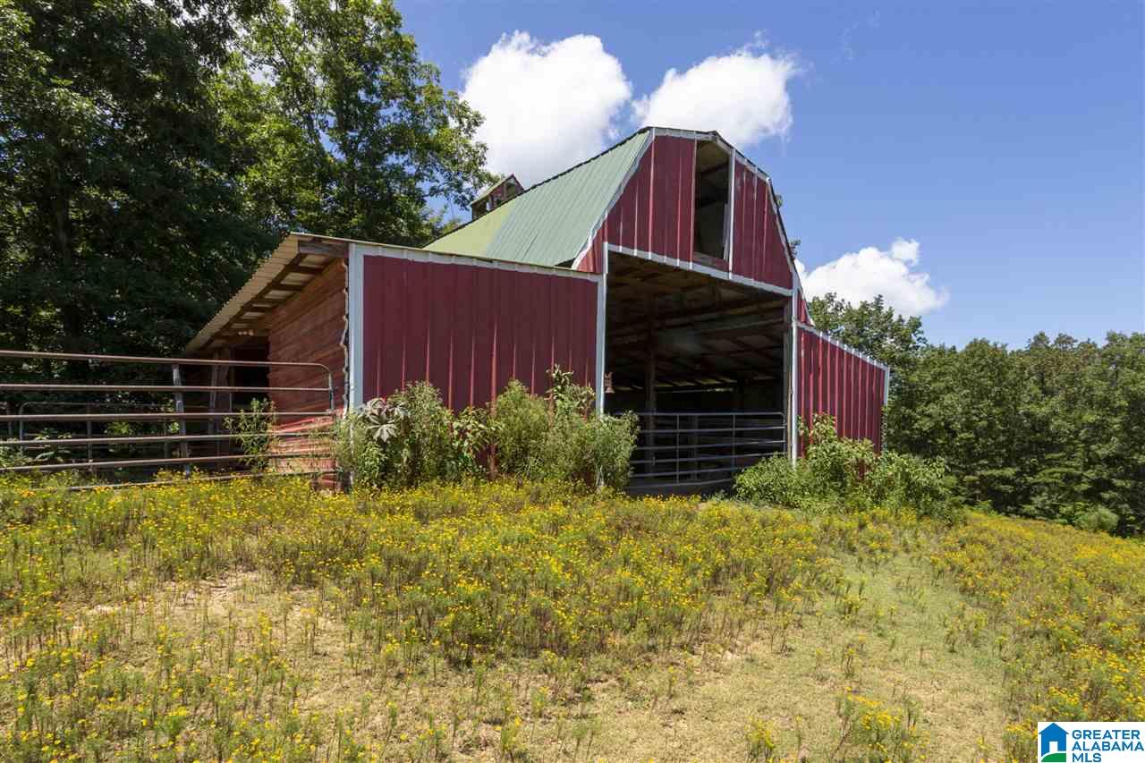 7015 County Road 55 Clanton, AL 35046 - Photo 44 of 49