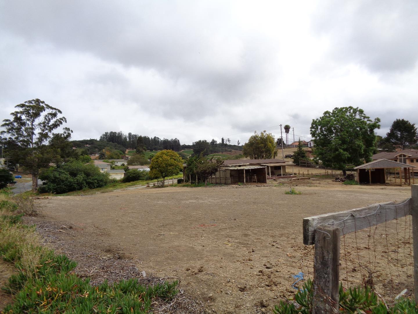 26 Miller Road Watsonville, CA 95076 - Photo 4 of 10 a view of a dry yard with large trees