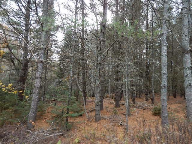 Lot 13-g West Bay Road Prospect Harbor, ME 04669 - Photo 20 of 20 Photo