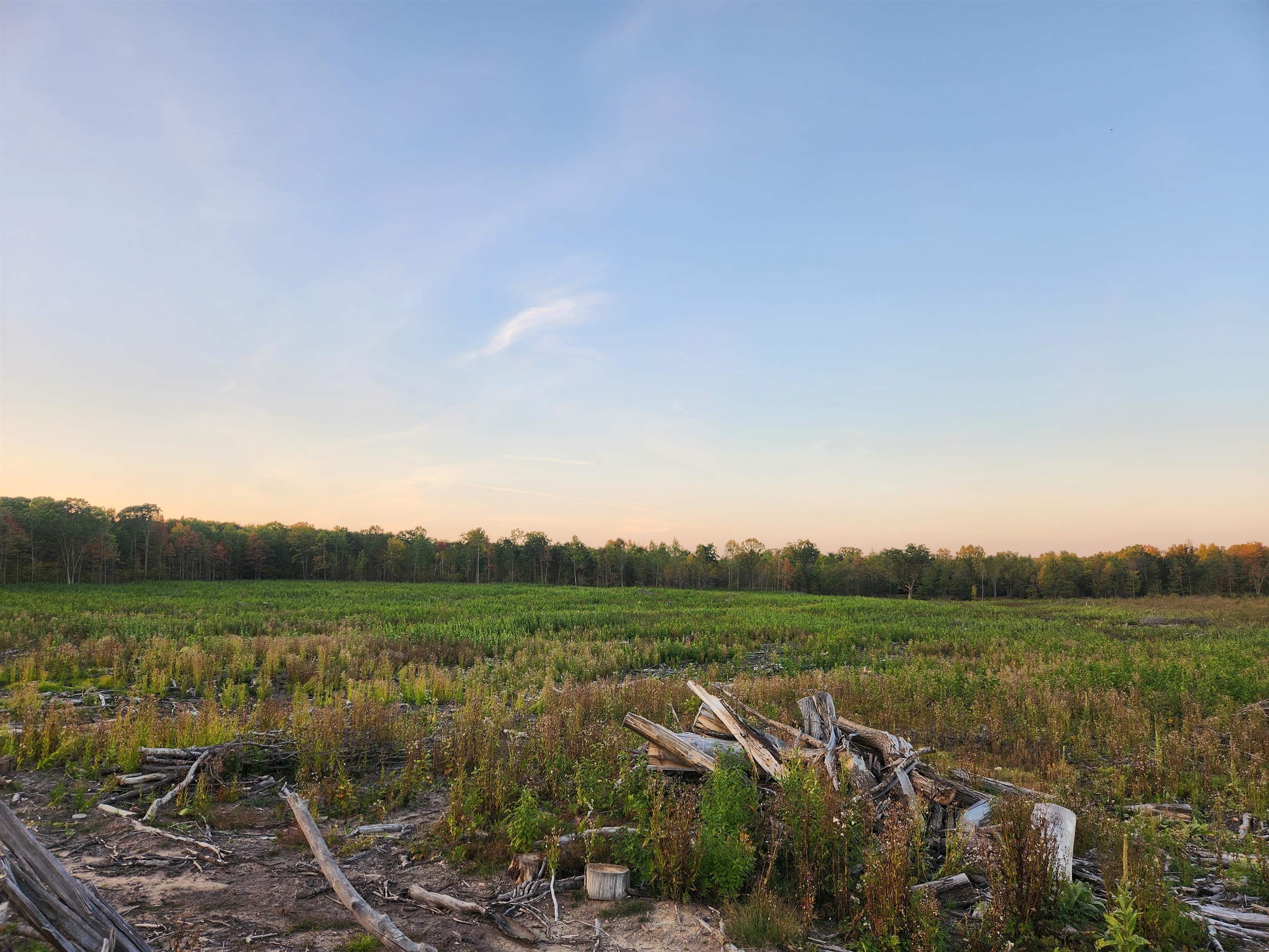 40 Acres (2nd) Monroe (easement) Road Harrison, MI 48625 - Photo 9 of 9