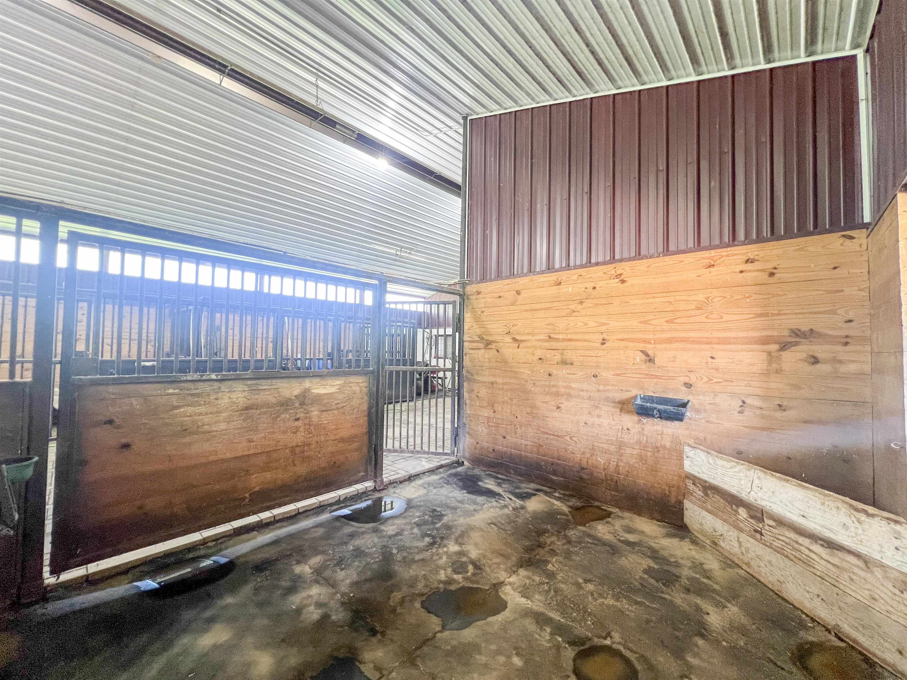 2839 Blair Road New Albin, IA 52160 - Photo 46 of 62