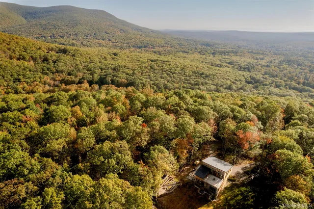 a view of a dry yard