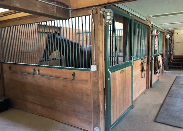 61 Ridge Road Barrington Hills, IL 60010 - Photo 37 of 61