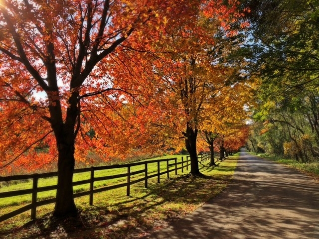 61 Ridge Road Barrington Hills, IL 60010 - Photo 43 of 61