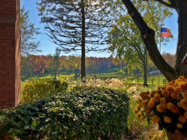 61 Ridge Road Barrington Hills, IL 60010 - Photo 49 of 61