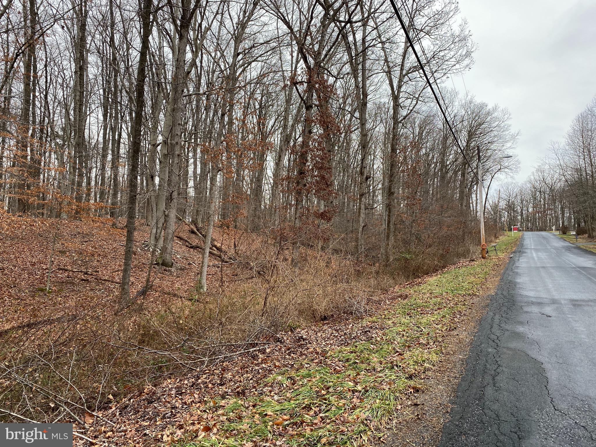 Cattail Road Poolesville, MD 20837 - Photo 1 of 2