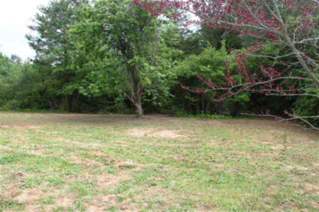 771 State Rd S-37-204, Unit STRAWBERRY FARM RD Seneca, SC 29678 - Photo 11 of 14 Gallery Image 11