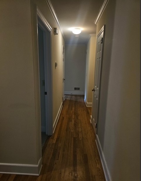 305 Augusta Road Clemson, SC 29631 - Photo 8 of 23 A naturally illuminated hallway showcasing gleaming wood flooring and refined crown molding.