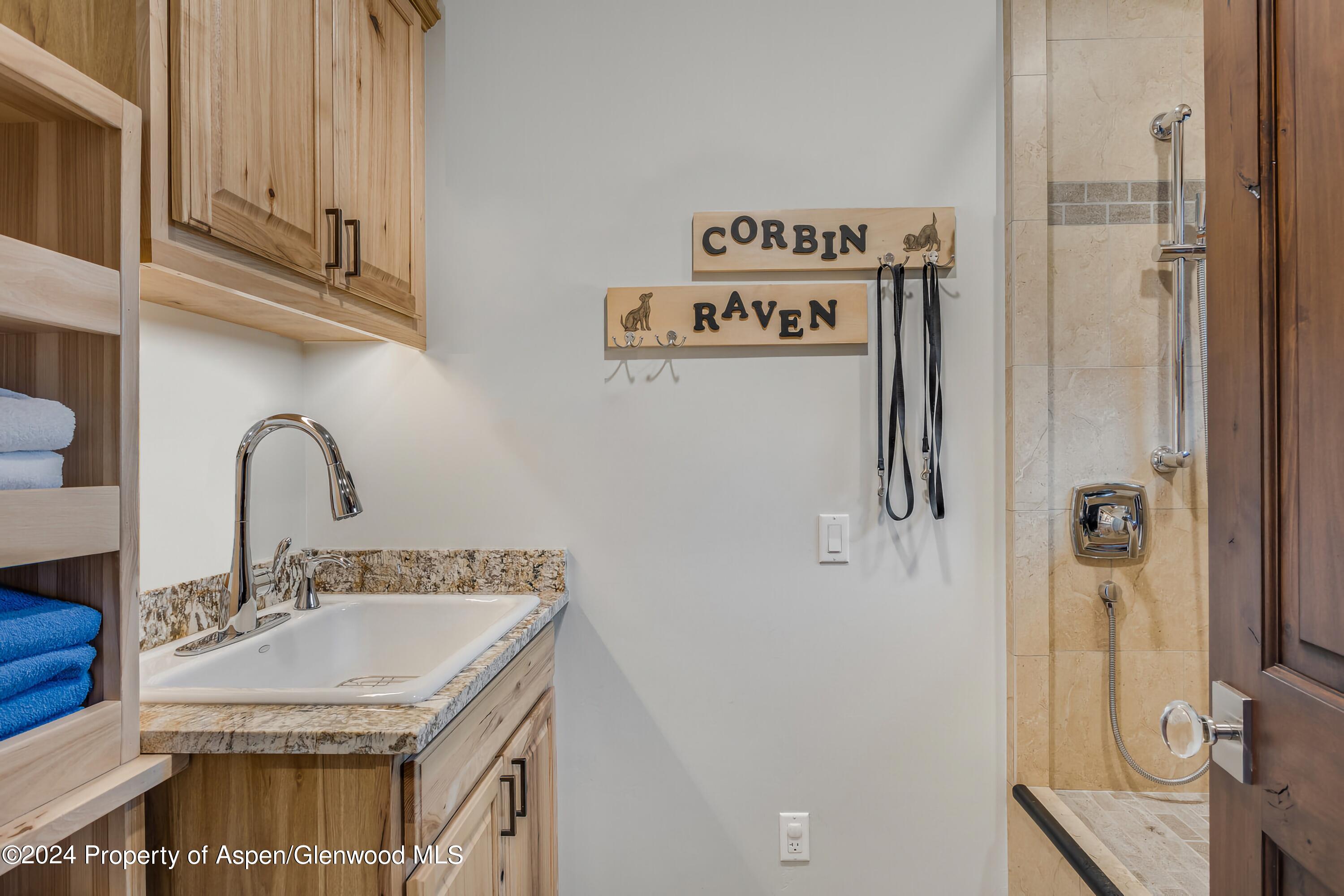 900 Dorais Way Redstone, CO 81623 - Photo 26 of 63 25-dog wash-75_900