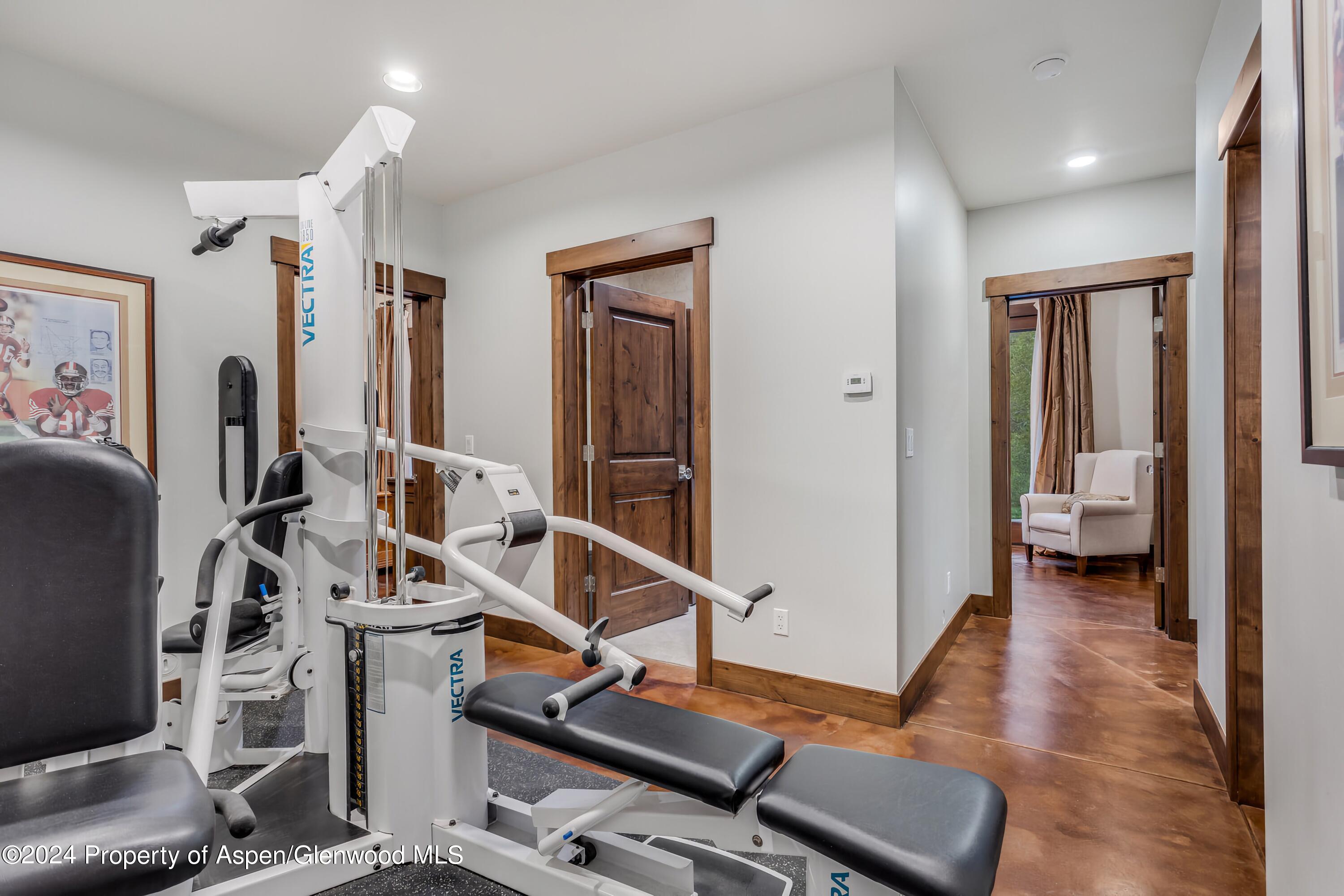 900 Dorais Way Redstone, CO 81623 - Photo 45 of 63 46-ExGym-92_900