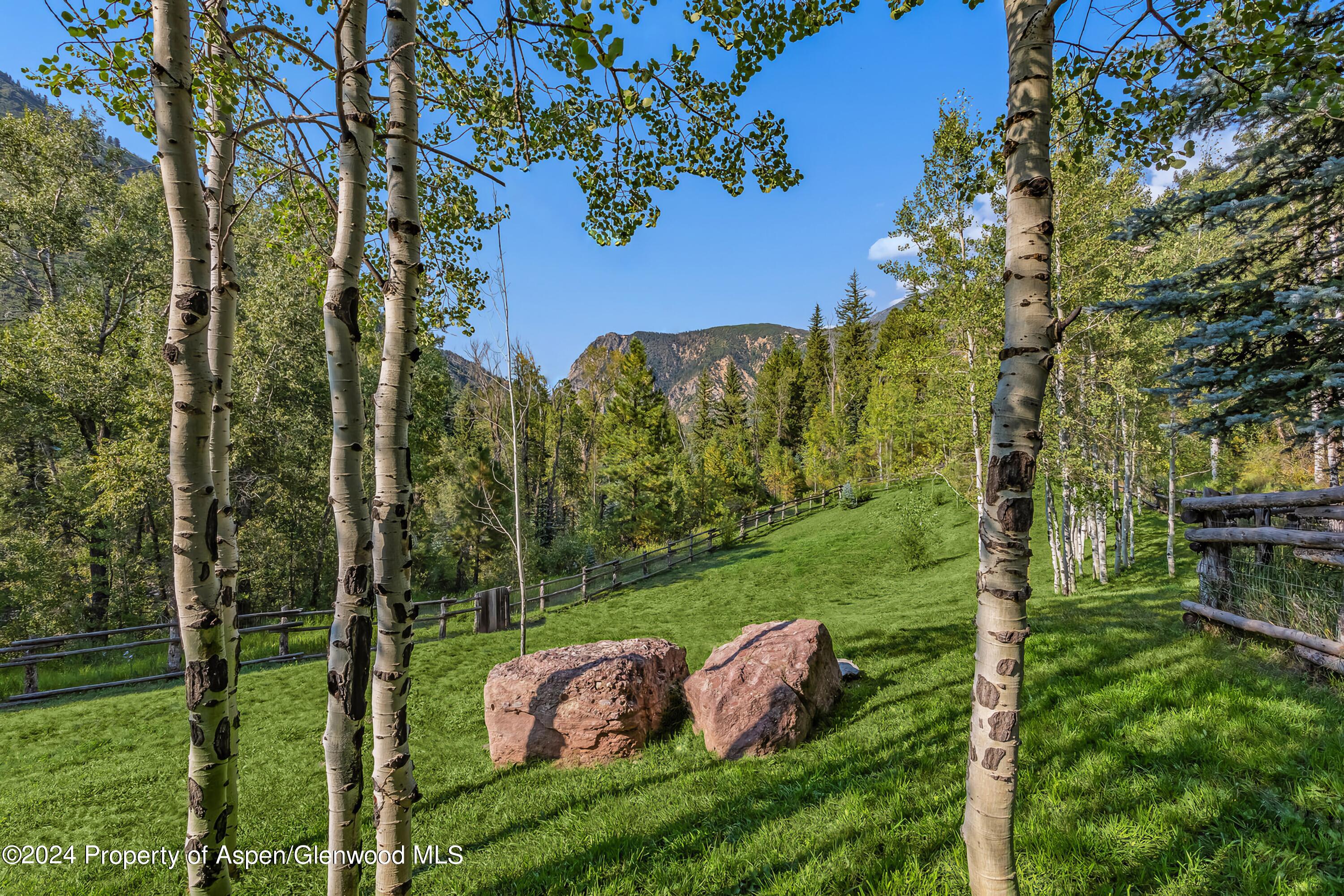 900 Dorais Way Redstone, CO 81623 - Photo 54 of 63 57-fenced pasture