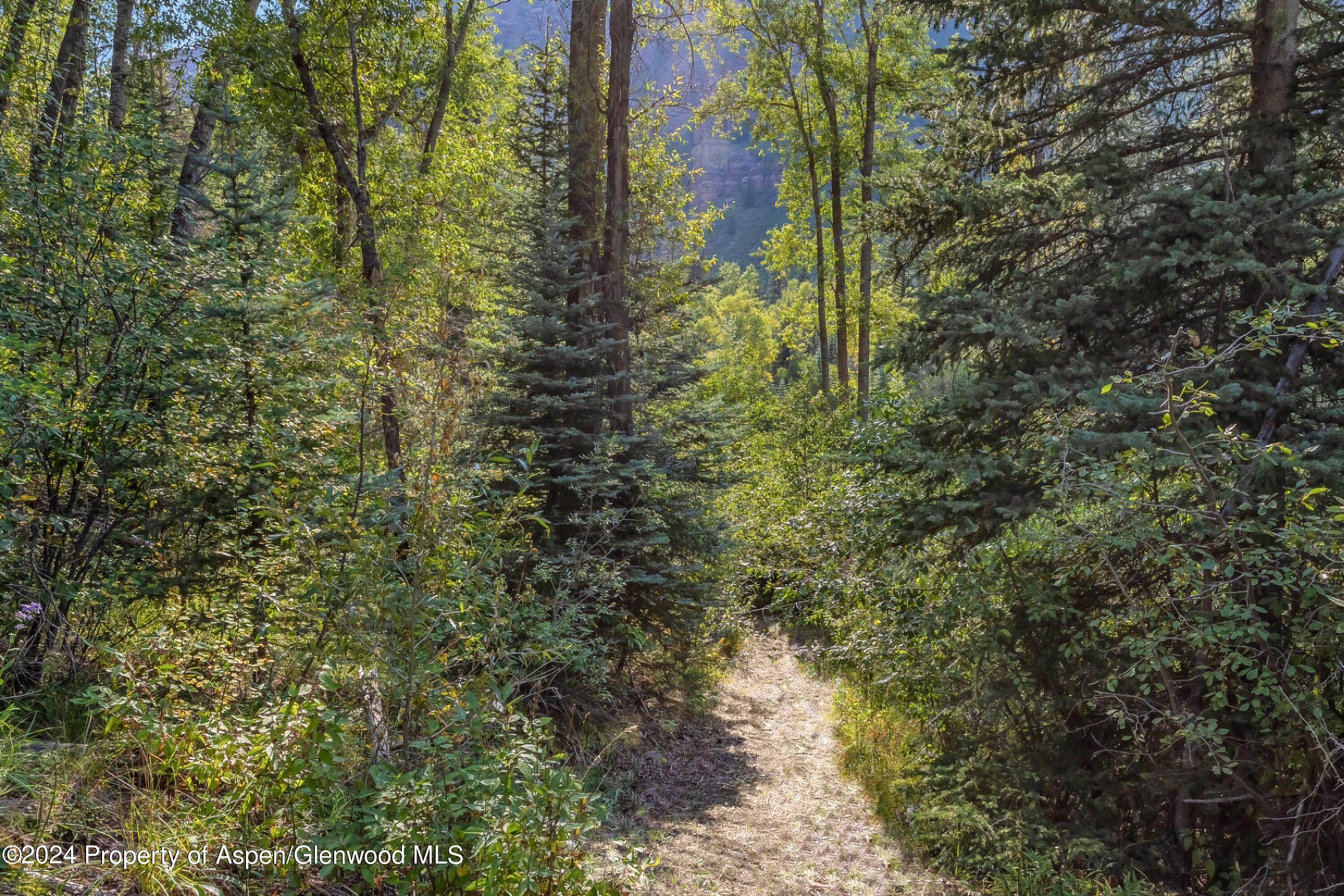 900 Dorais Way Redstone, CO 81623 - Photo 55 of 63 58-path to river