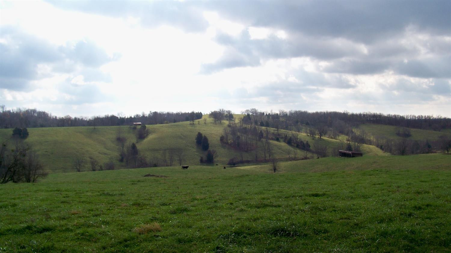 5040 Stepstone Road Mount Sterling, KY 40353 - Photo 11 of 51 Photo 11