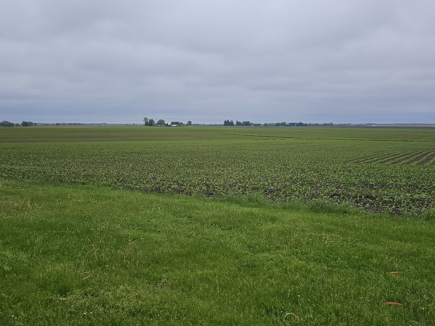 23018 Freeport Road Sterling, IL 61081 - Photo 15 of 19