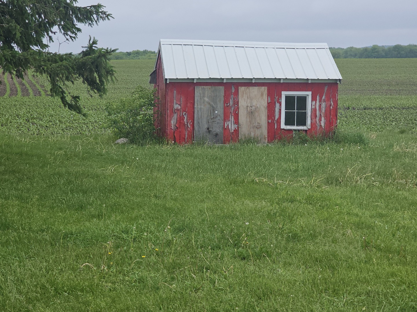 23018 Freeport Road Sterling, IL 61081 - Photo 18 of 19 a view of backyard of house with green space