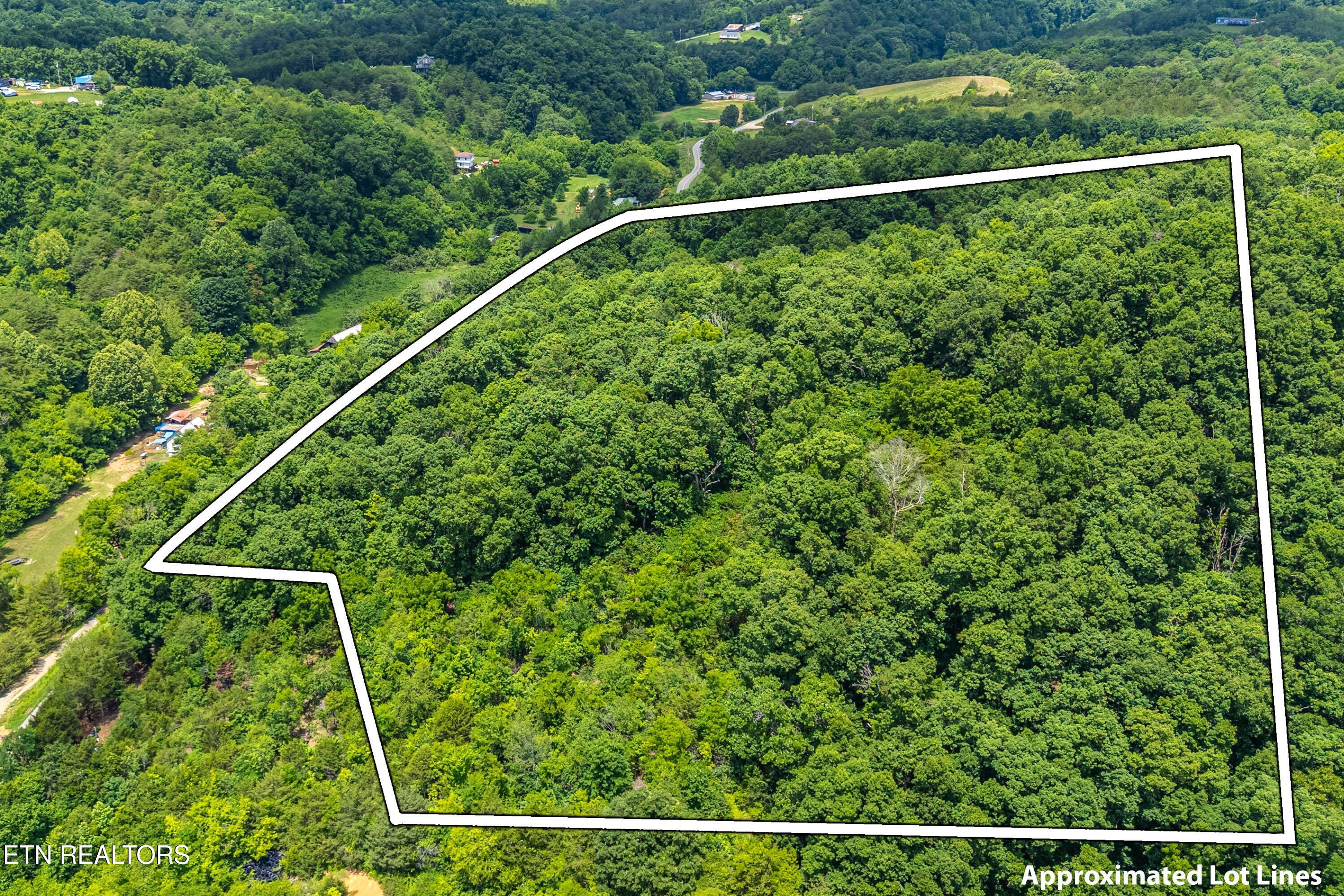 2165 Smelcer Road Parrottsville, TN 37843 - Photo 9 of 18 07-Lot Line A7