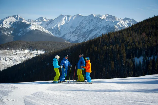 a view of water slide