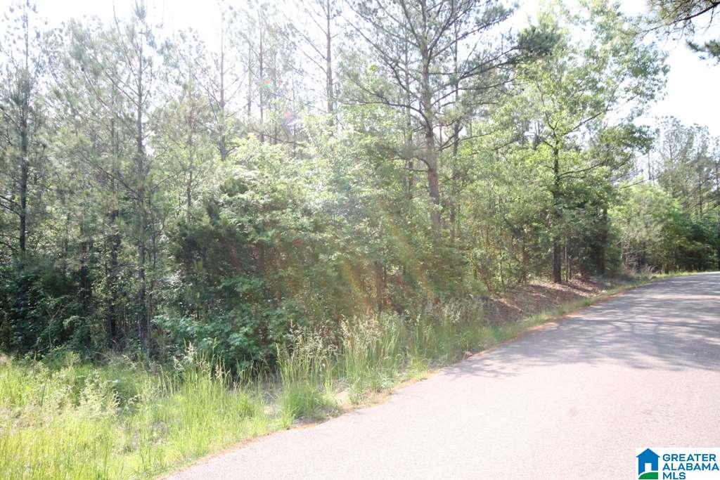 2654 Mayfield Road, Unit 4 44 Lincoln, AL 35096 - Photo 6 of 17