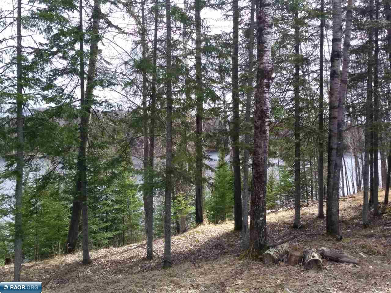 4166 McSweeney Road Mountain Iron, MN 55768 - Photo 5 of 9
