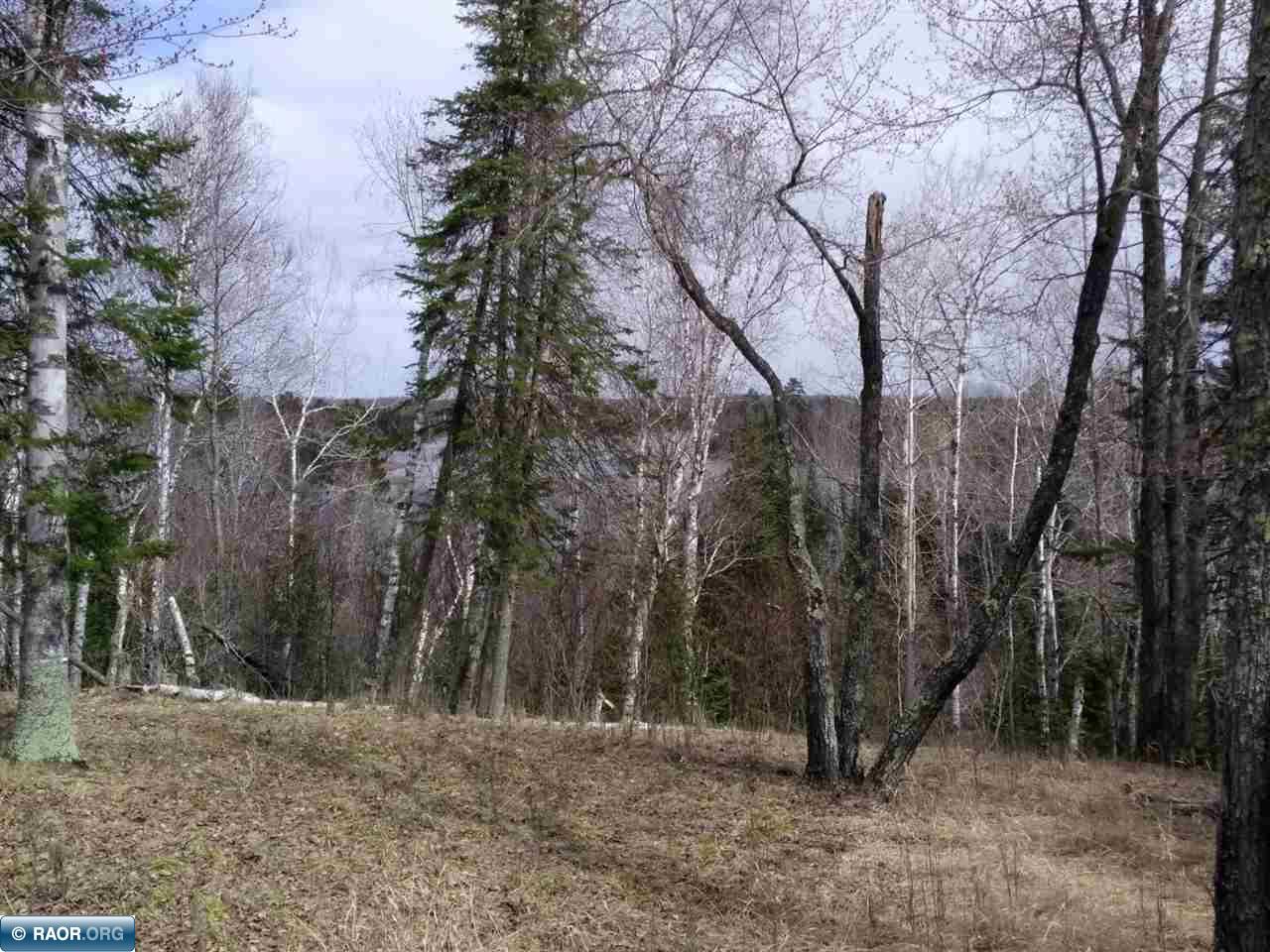 4166 McSweeney Road Mountain Iron, MN 55768 - Photo 6 of 9