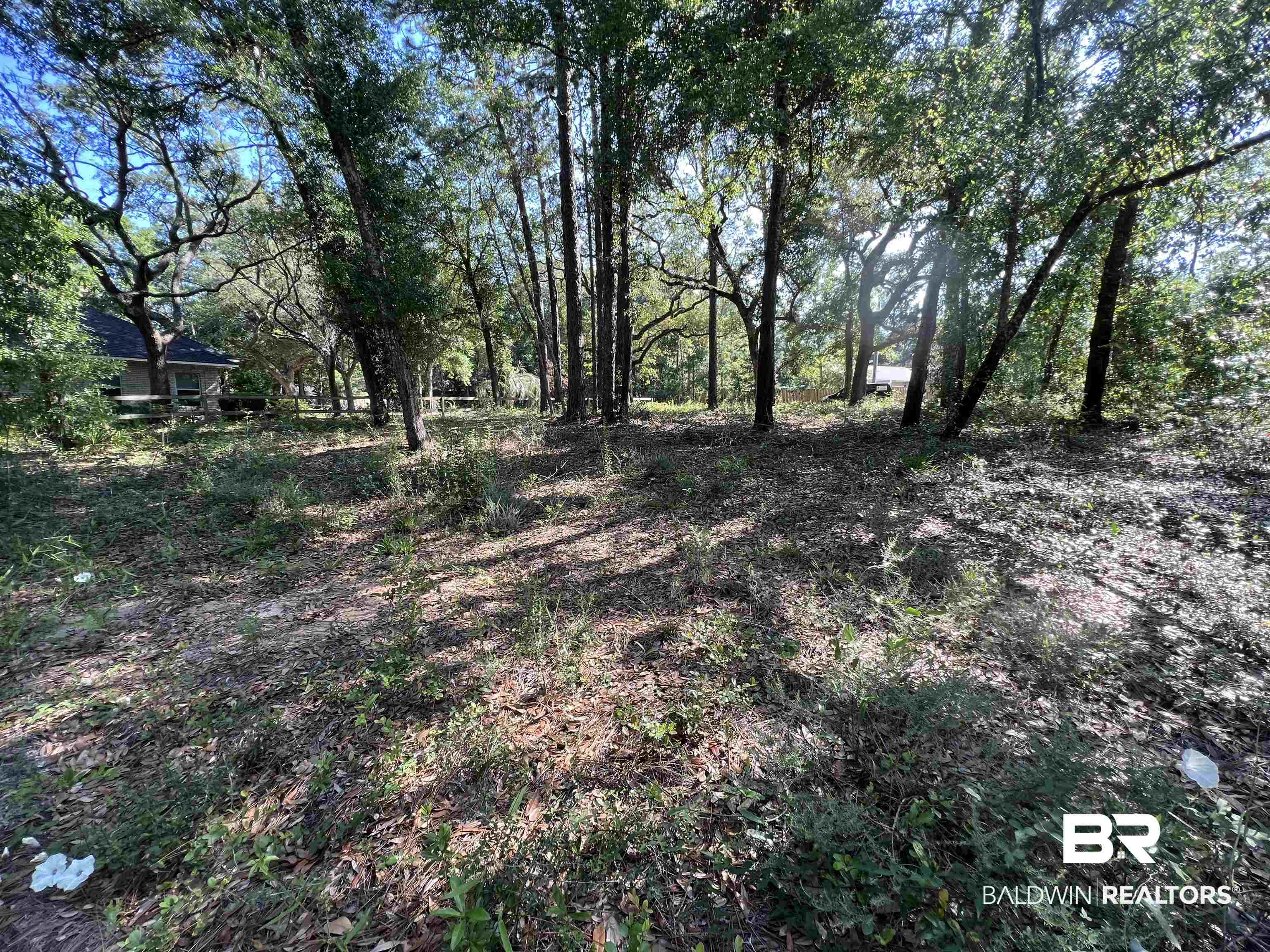 9545 North Bayou Road Lillian, AL 36549 - Photo 15 of 34 View of landscape