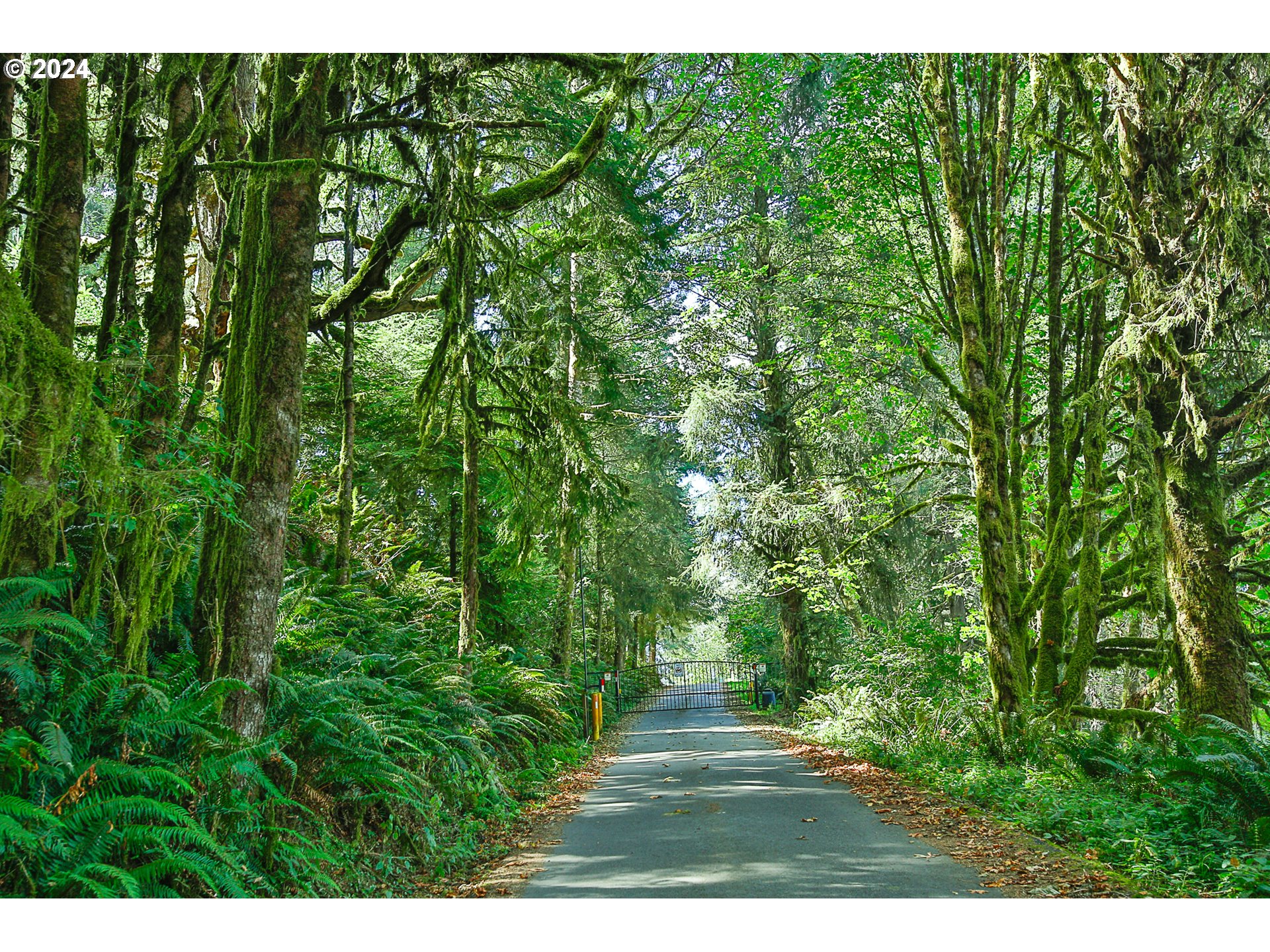 311 Council Hill Road Lakeside, OR 97449 - Photo 16 of 42 a view of a backyard