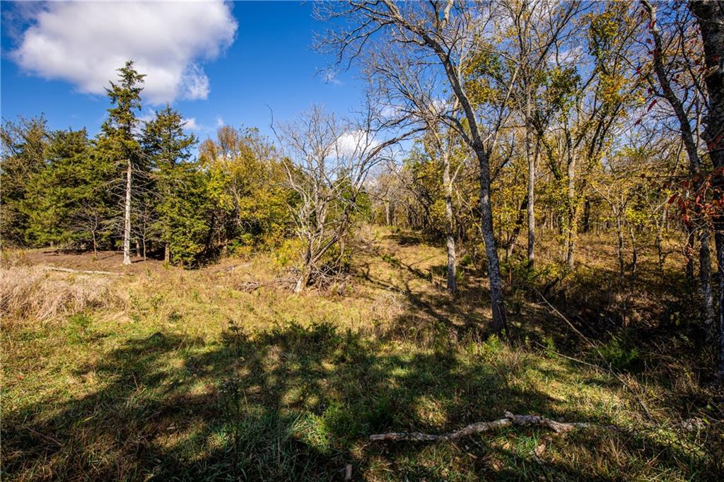 11296 West 900th Road Mound City, KS 66056 - Photo 16 of 60