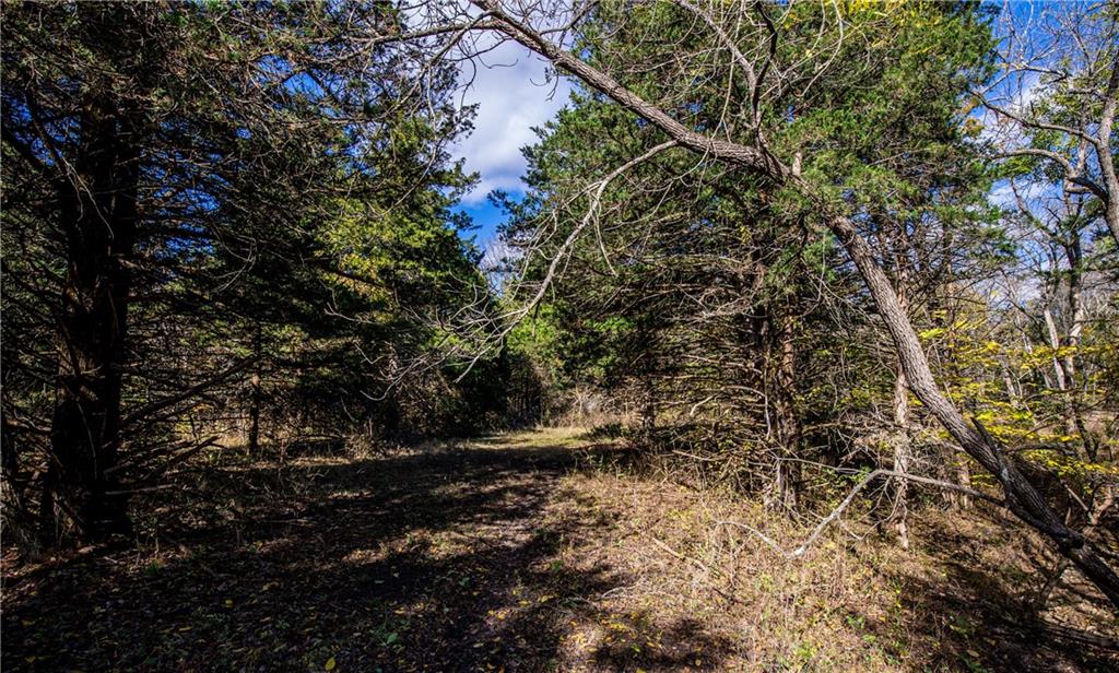 11296 West 900th Road Mound City, KS 66056 - Photo 19 of 60