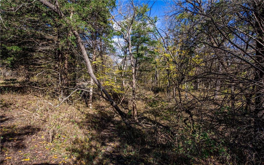 11296 West 900th Road Mound City, KS 66056 - Photo 20 of 60