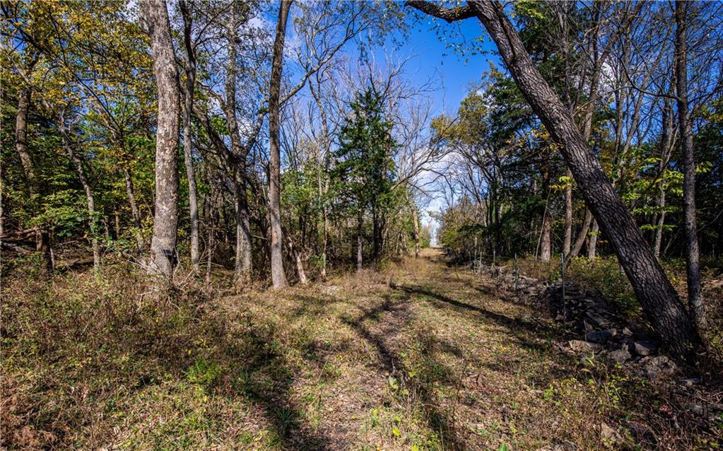 11296 West 900th Road Mound City, KS 66056 - Photo 21 of 60