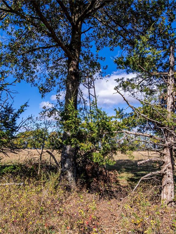 11296 West 900th Road Mound City, KS 66056 - Photo 23 of 60