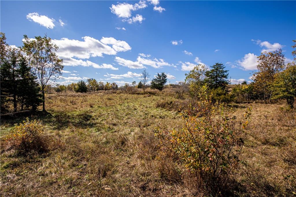 11296 West 900th Road Mound City, KS 66056 - Photo 32 of 60
