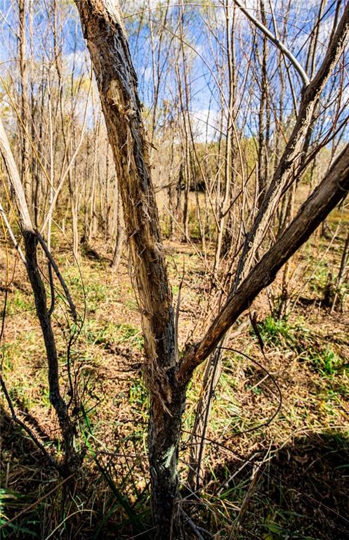 11296 West 900th Road Mound City, KS 66056 - Photo 36 of 60