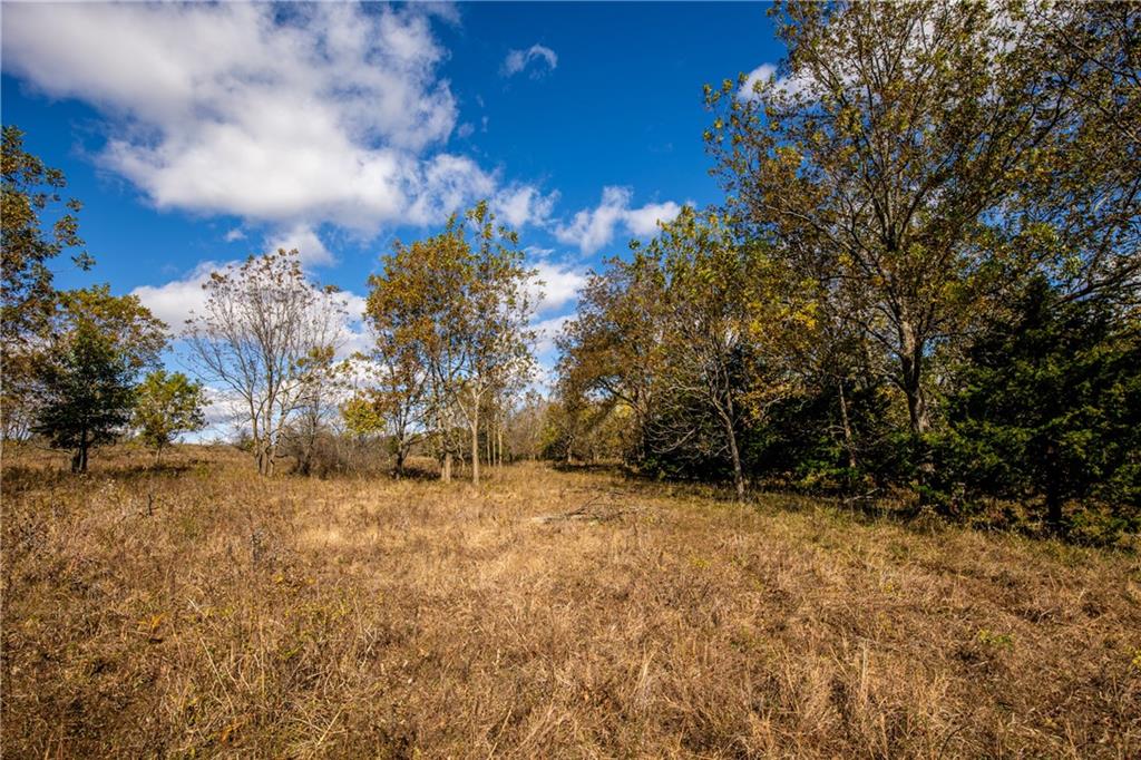 11296 West 900th Road Mound City, KS 66056 - Photo 37 of 60