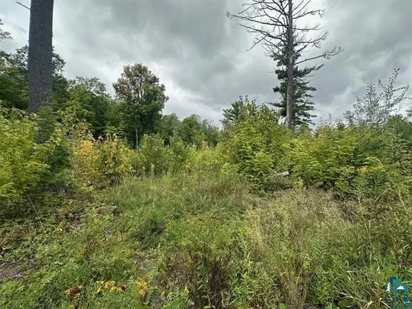 $169,900 | 45 Cloquet Mn 55720, Carlton, MN 55718