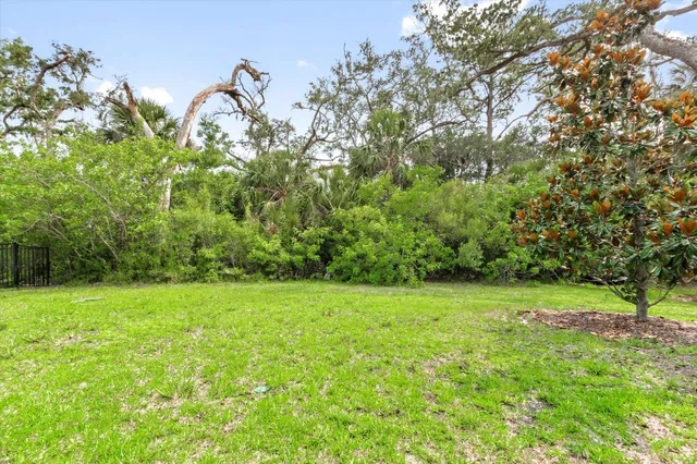 a view of garden with trees