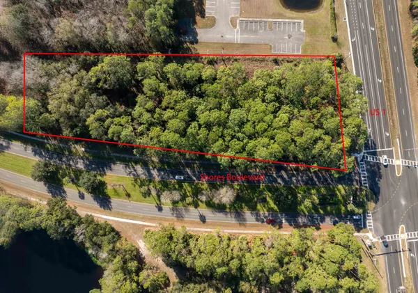 a picture of flowers