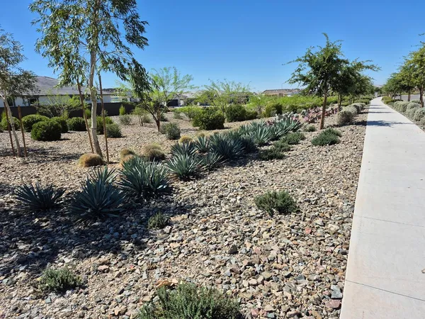 $2,250 | 3375 West Stanton Avenue, Apache Junction, AZ 85120