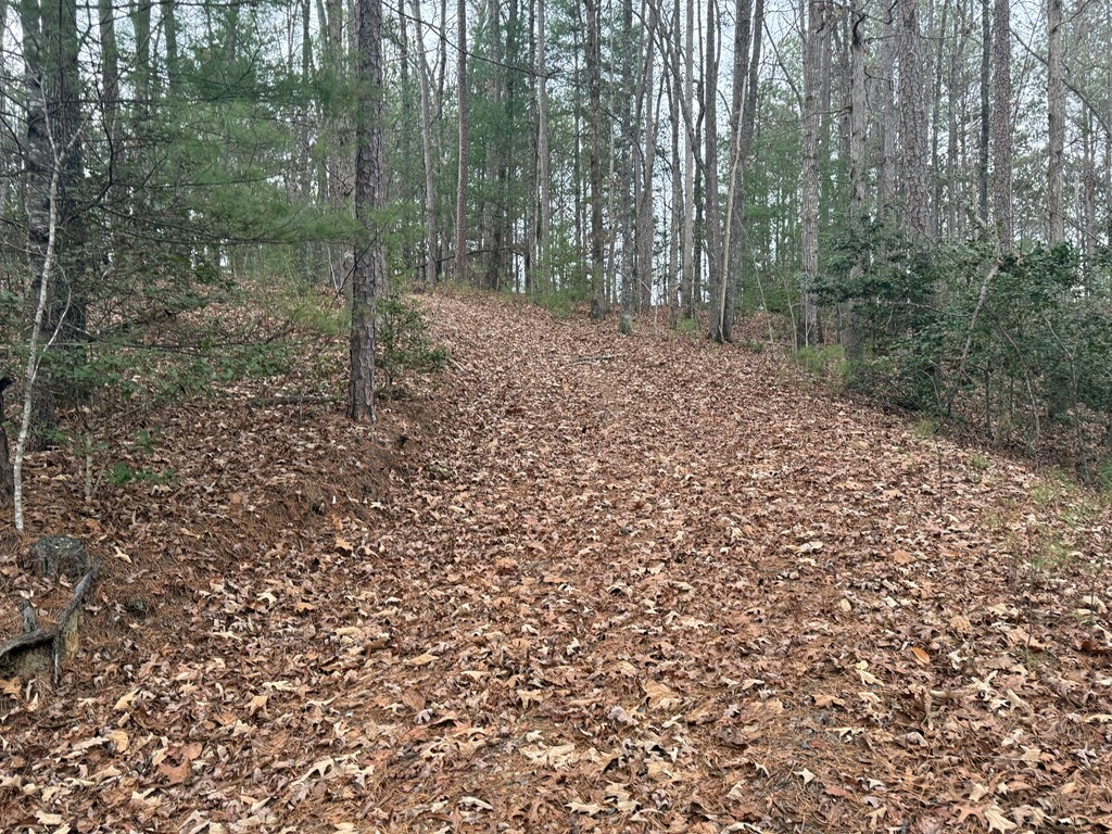 0 Kestrel Rdg Circle Murphy, NC 28906 - Photo 11 of 13
